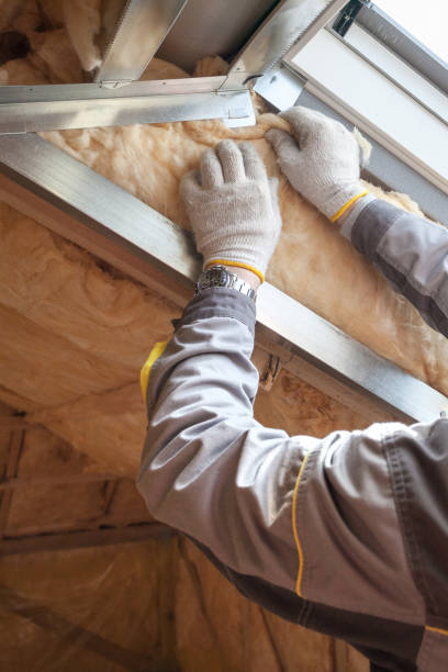 Professional Insulation in Norlina, NC